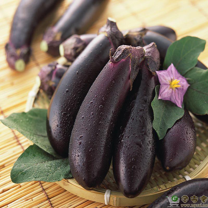 ���r��(y��u)�|(zh��)����